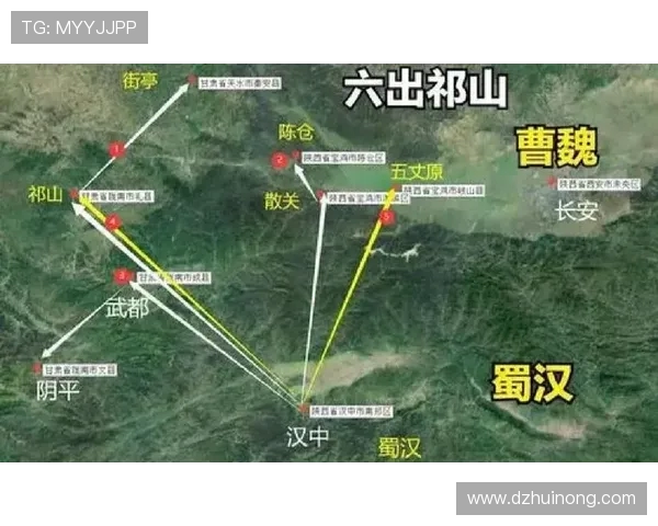 武汉攀岩队的进攻策略与训练方法全解析
