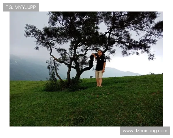 深度对话刘伟如何在王者荣耀中找到人生的意义与乐趣