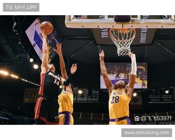 湖人对决热火精彩视频直播全程回顾与赛后分析