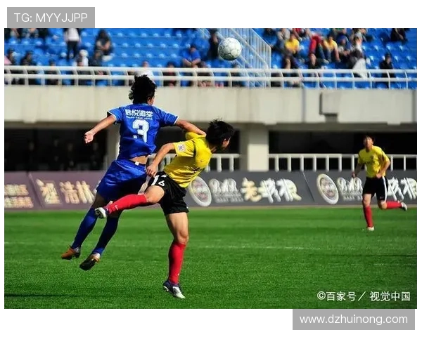 福冈黄蜂对阵金泽精彩直播全程回顾与赛后分析