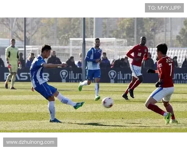 西安羽毛球队逆袭之路：从困境到辉煌的全景解读