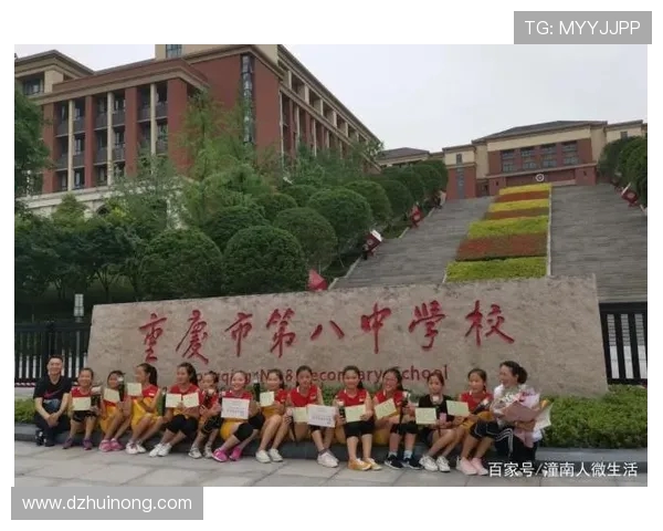 重庆排球队在全国排球灵活性排行榜中荣获第五名的佳绩分析 重庆排球队在全国排球灵活性排行榜中荣获第五名的佳绩分析