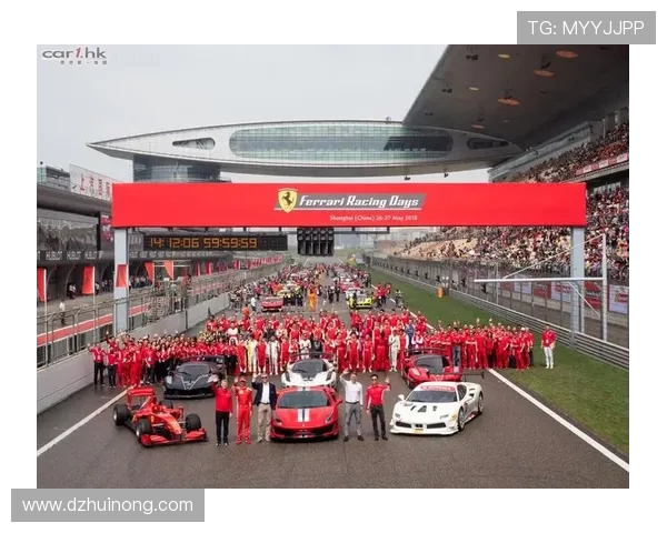 南京极限运动队的奋进之路与嘉年华盛典的精彩瞬间