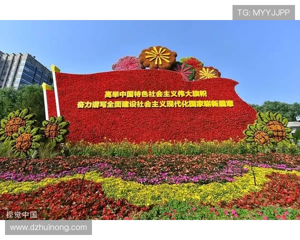 武汉排球队在世界锦标赛中的奋进之路与辉煌成就全景回顾